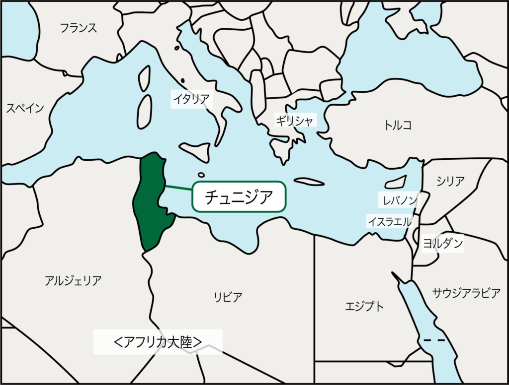 チュニジア現地レポート 第14回 収穫時期を迎えるチュニジアのオリーブ Mscパートナーズ株式会社 Msc Partners Inc