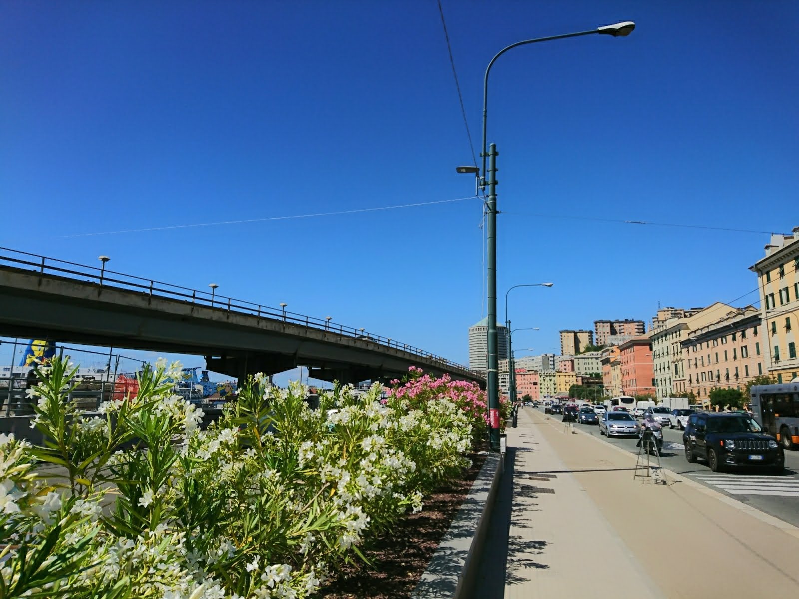 2019-06-13-12-08-39-972